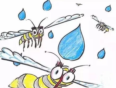 "可以承受的雨滴之重",当雨滴落在了蚊子身上,会发生什么
