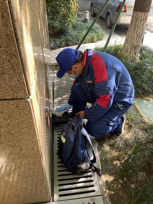 世界虫害日|原来钟南山为之打call的有害生物防制员是这样的