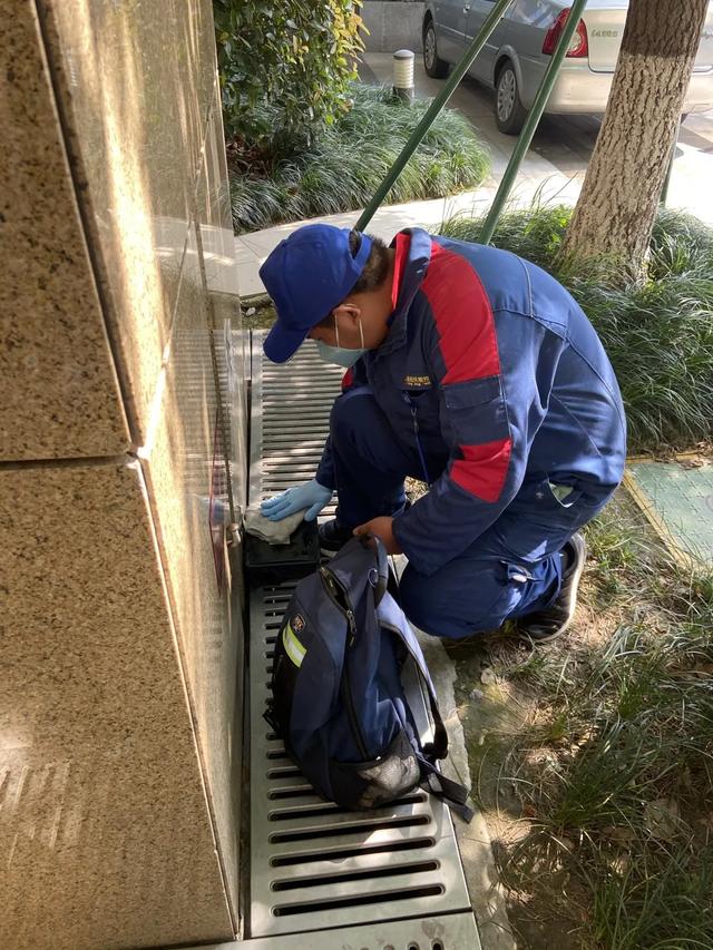 世界虫害日｜原来钟南山为之打call的有害生物防制员是这样的