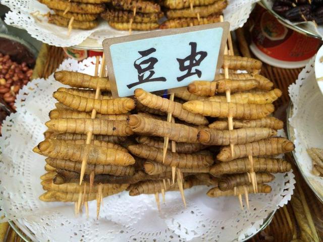 农村常见的“豆丹虫”能卖到120元/斤，它有何价值？