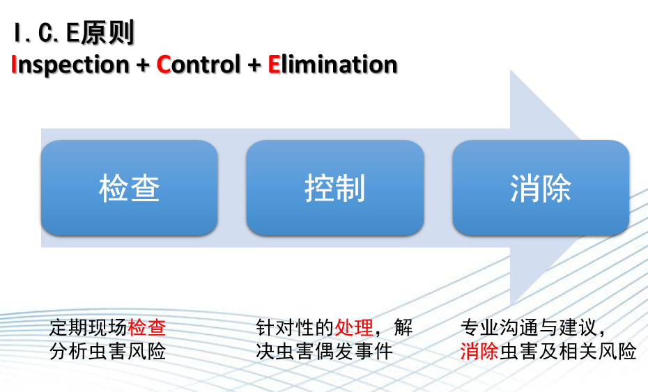 自述｜一个虫控人的多年心得