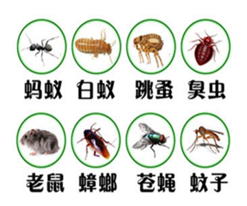 自述｜简述PCO行业的三个发展阶段