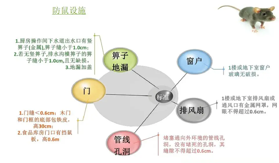 超市型鼠防治工作，你知道吗？