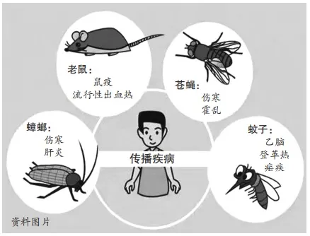 洪涝灾害过后虫鼠泛滥？怎么防蚊虫？怎么防鼠灭鼠？